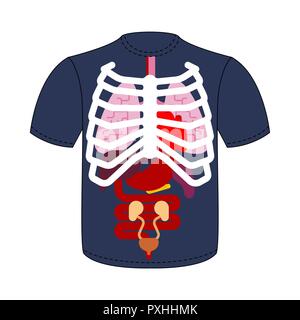 T-shirt Internal organs and Rib cage. Human anatomy. Systems of man body and organs. medical systems. Lungs and Heart. Liver and Stomach. vector illus Stock Vector