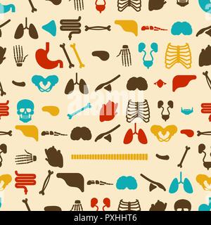 Human body parts anatomy seamless background 4330406 Vector Art at