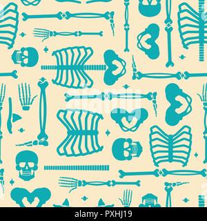 Skeleton anatomy human pattern seamless. Skeletal system cross section backgrund. Bones and skull. Ribs and pelvic bone. vector ornament Stock Vector