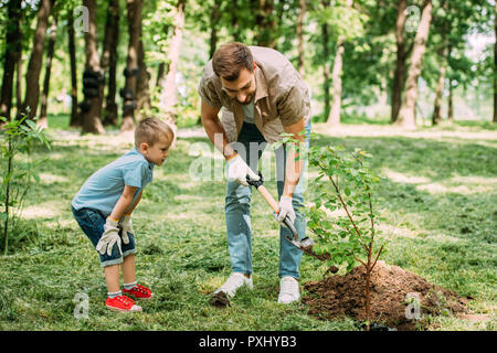 father and son planting tree with shovel at park Stock Photo