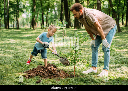 father looking how son planting tree at park Stock Photo