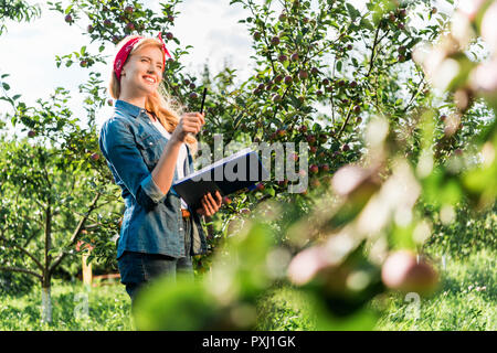 attractive farmer checking harvest in apple garden at farm Stock Photo