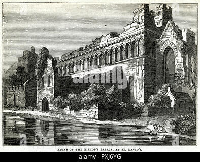 Ruins of Bishop's Palace, St David's, South Wales Stock Photo
