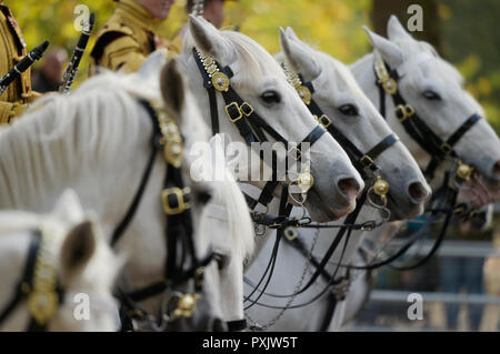 The Mall, London, UK. 23 October, 2018. The King and Queen of the Netherlands, accompanied by The Queen and Prince Charles, are escorted to Buckingham Palace by The Sovereign’s Escort, with two Standards, provided by the Household Cavalry Mounted Regiment in autumn sunshine. Credit: Malcolm Park/Alamy Live News. Stock Photo