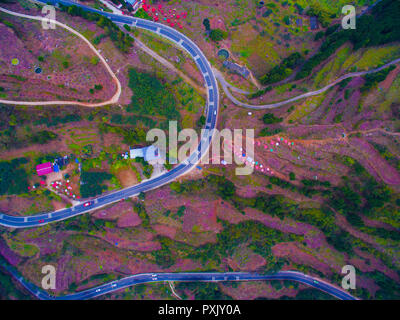 Chengdu, China. 23rd Oct, 2018. Chengdu, CHINA-Peach blossoms at Longquan Mountain in Chengdu, southwest China's Sichuan Province. Credit: SIPA Asia/ZUMA Wire/Alamy Live News Stock Photo