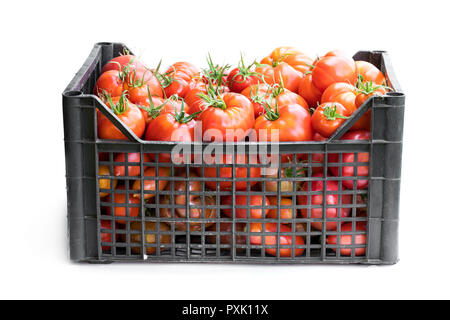 Fresh  ripe big tomatoes in plastic crate isolated on white Stock Photo