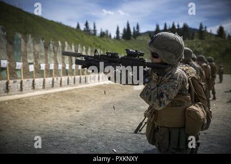 Lance Cpl. Logan Dennis, a rifleman with Marine Rotational Force Europe 17.1 (MRF-E), executes a box drill during a combat marksmanship range near Stjørdal, Norway, June 7, 2017.  This range provided Marines with the skills, knowledge, and attitude to succeed as a combat marksman.  MRF-E Marines conduct live-fire ranges as often as possible, as repetition is the best tool to maintain readiness, especially while on deployment. Stock Photo
