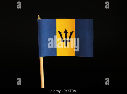 A special official Flag of Barbados on wooden stick on black background. Flag is formed black trident and two colours blue and yellow. British colony Stock Photo