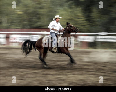 weter horsebackriding in Canada Stock Photo