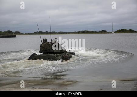 Marines enter the water to practice how to properly operate the light armored vehicle while floating during a field exercise at Camp Lejeune, N.C., June 8, 2017. The Marines participated in the exercise to test the amphibious capabilities of LAVs while highlighting the importance of swift, accurate reconnaissance for future operations. The Marines are with 2nd Light Armored Reconnaissance Battalion. Stock Photo