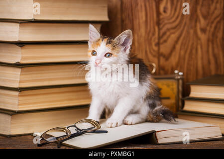A kitten stands on the book and looks forward. The book lays glasses. Little playful kitten on a wooden background Stock Photo