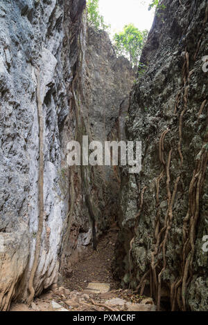 A narrow canyon with two steep, tall and huge limestone faces with tree roots. It's a popular rock climbing site in Vang Vieng, Laos. Stock Photo