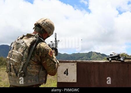 Soldiers from Korea, Alaska, Japan and Hawaii compete in the United States Army Pacific Command's 2017 Best Noncommissioned Officer and Soldier Competition in Schofield Barracks, HI, June 11-15. The competitors completed events that tested their mental and physical fitness. Stock Photo