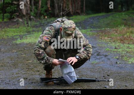 Soldiers from Korea, Alaska, Japan and Hawaii compete in the United States Army Pacific Command's 2017 Best Noncommissioned Officer and Soldier Competition in Schofield Barracks, HI, June 11-15. The competitors completed events that tested their mental and physical fitness. Stock Photo