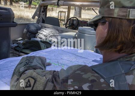 Observer Controller Trainer from the 290th Regiment is a role within ...