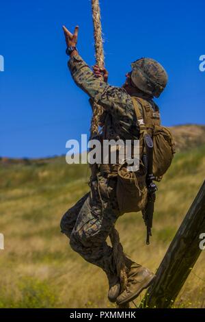 Lance Cpl. Matthew Palevoda, a combat engineer with 3rd Combat Assault ...