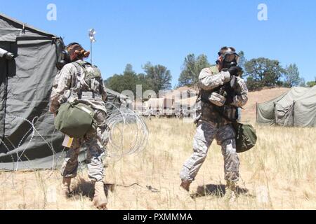 Soldiers from the 357th Military Police Company, 200th Military Police Command react to a simulated gas attack at Fort Hunter Liggett, Calif., June 16, 2017. More than 3000 U.S. Army Reserve soldiers are participating in the 84th Training Command's Warrior Exercise (WAREX) 19-17-03 at Fort Hunter Liggett, Calif.; the WAREX is a large-scale collective training platform to generate capable, lethal and combat ready forces. Stock Photo