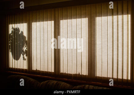 A flower basket silhouette shows through the closed vertical blinds of a modern home window (angle view) Stock Photo