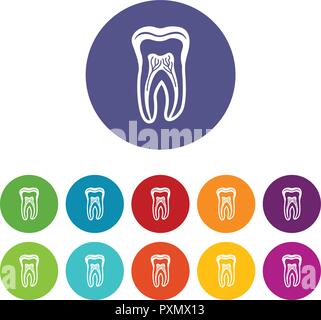 Tooth structure icon, simple black style Stock Vector Image & Art - Alamy