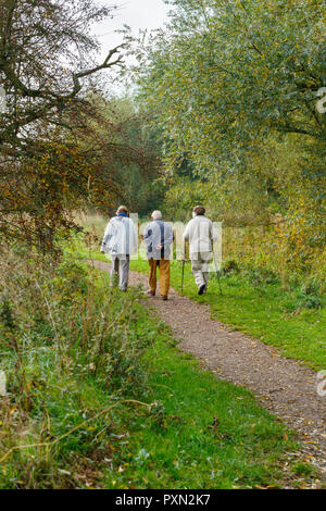 Three senior citizens walking through woodland, enjoying the morning autumn sunshine. Leicestershire, UK Stock Photo