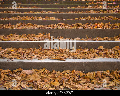 Several steps of a staircase all covered with colorful foliage Stock Photo