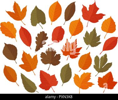 Decorative leaves, set. Autumn, leaf fall concept. Vector illustration Stock Vector