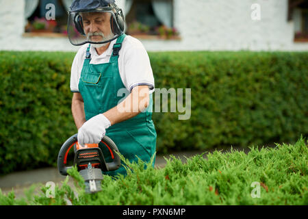 Senior male gardener clipping hedge in garden, using petrol hedge cutter. Professional garden worker wearing in green uniform with safety mask and protective headphones working with trimmer. Stock Photo