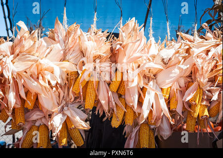 Dried ears of corn strung together and hung up for display in New Mexico. Stock Photo