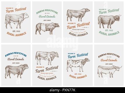 Vintage cards. Farm cattle bulls and cows. Different breeds of domestic animals. set of posters. Engraved hand drawn monochrome sketch. Stock Vector