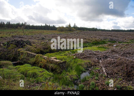 Scenic view on Lough Navar Forest in Co. Fermanagh, Northern Ireland Stock Photo