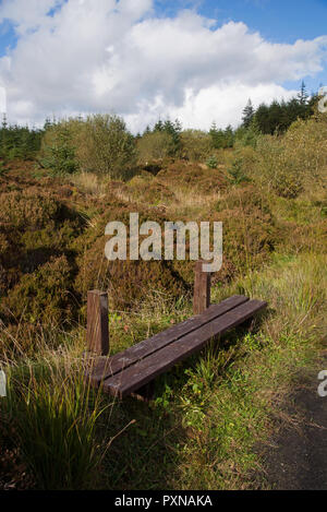 Wooden Seat in Lough Navar Forest in Co. Fermanagh, Northern Ireland Stock Photo
