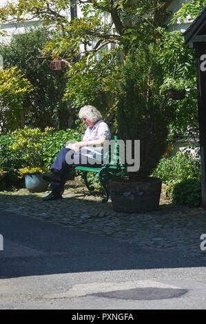 An Elderly lady reading a book in the summer sunshine in the shade of a tree. Stock Photo