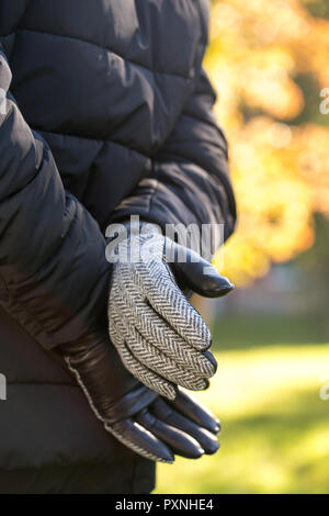 leather and fabric gloves Stock Photo