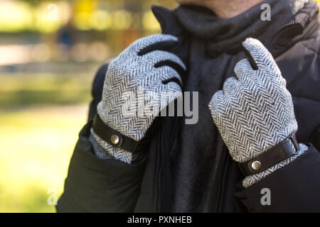 Autumn men's gloves Stock Photo