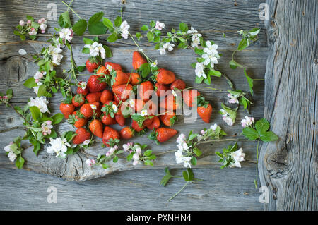 Apple blossom twigs and strawberries on wood Stock Photo