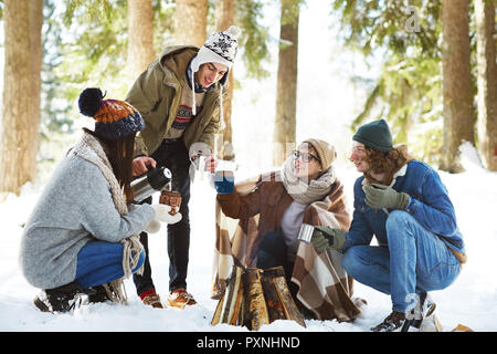 Full length portrait of four young people camping in winter forest sitting in circle round fire and pouring hot drinks Stock Photo