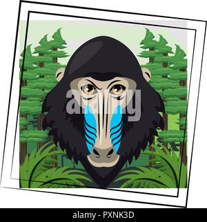 Mandrill face cool sketch Stock Vector