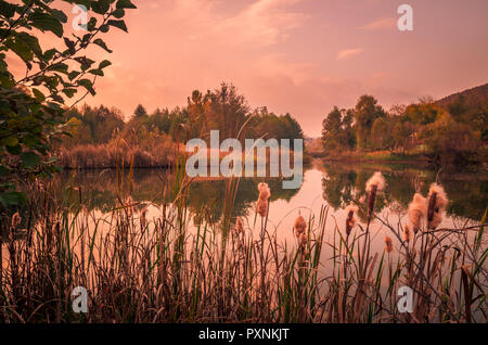 Sunset over a river delta in fall. Autumn evening landscape with a lake surrounded by reeds and straw