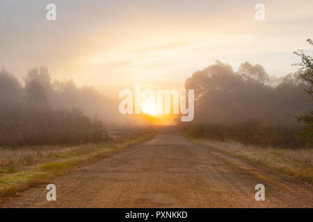 Beautiful autumn spring morning. Stock Photo