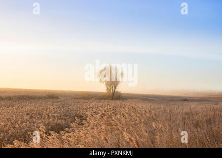 Beautiful autumn spring morning. Stock Photo