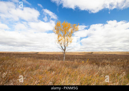 Beautiful autumn spring morning. Stock Photo