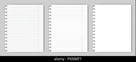 Set of blank  copy book sheets with torn edges. Mockup or template of graph notepad page for your text. Stock Vector