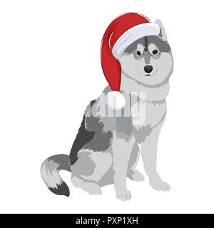 Husky with Christmas hat isolated on white background. Purebred dog wearing Santa hat. Stock Vector