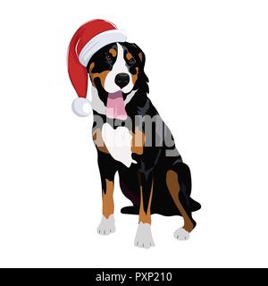 Swiss Mountain dog with Christmas hat isolated on white background. Purebred dog panting and wearing Santa hat. Stock Vector