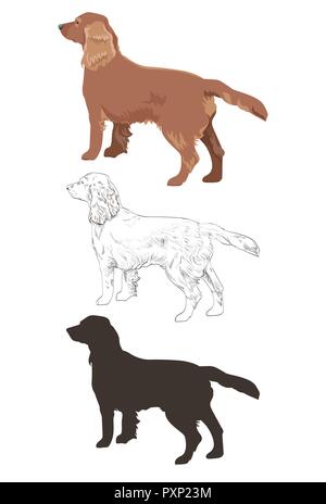 Cocker spaniel in three different styles isolated on white background. Side view of english cocker spaniel dog. Stock Vector