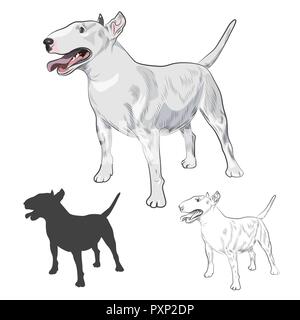 Bull Terrier dog breed isolated on white background. Purebred canine in sketch and silhouette for your design. Stock Vector