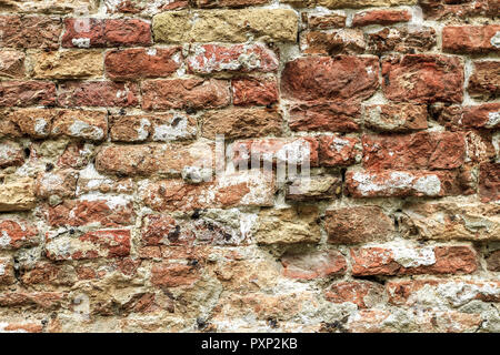 Alte Haeuser im Stadtteil Dosoduro, Venedig, Italien Stock Photo