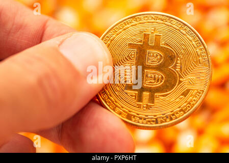 Bitcoin in hand over corn kernels heap, conceptual image for cryptocurrency related commercial activity with commodity trade in agricultural business Stock Photo