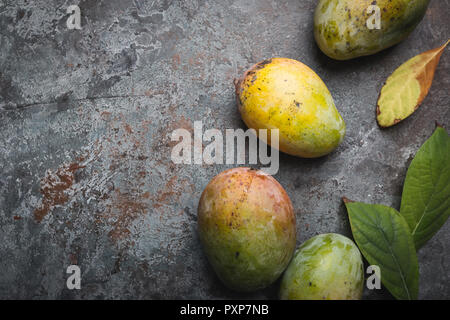 Fresh mango tropical fruits over gray background, top view with Copy space. Stock Photo