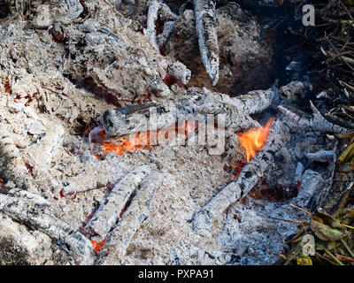 Burning garden waste on an autumn bonfire to produce wood ash and help disease control Stock Photo